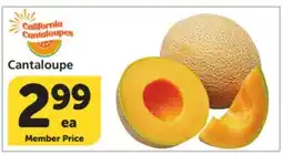 Vons Cantaloupe offer