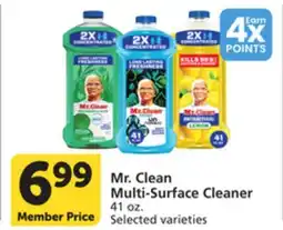 Pavilions Mr. Clean Multi-Surface Cleaner offer