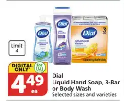 Pavilions Dial Liquid Hand Soap, 3-Bar or Body Wash offer
