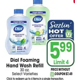 Jewel-Osco Dial Foaming Hand Wash Refill offer
