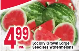 Jewel-Osco Locally Grown Large Seedless Watermelons offer