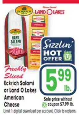 Jewel-Osco Eckrich Salami or Land O Lakes American Cheese offer