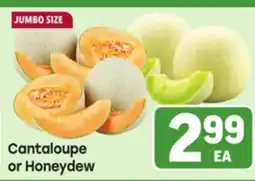 Tony’s Fresh Market Cantaloupe or Honeydew offer