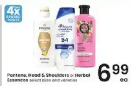 Albertsons Pantene, Head & Shoulders or Herbal Essences offer