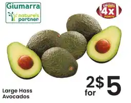 Albertsons Giumarrra Large Hass Avocados offer