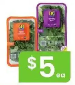 Albertsons Kroger spring mix offer