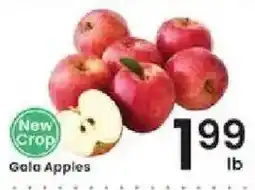 Albertsons Gala Apples offer