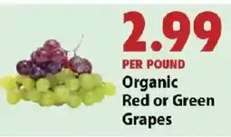Festival Foods Organic Red or Green Grapes offer