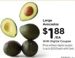 Fred Meyer Large Avocados offer