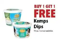 Festival Foods Kemps Dips offer