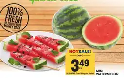 Food Lion Mini Watermelon offer