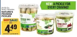 Food Lion Nature’s Promise Pickles offer