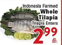 Rio Valley Market Indonesia Farmed Whole Tilapia offer