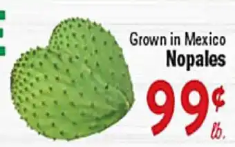 Rio Valley Market Nopales offer