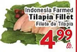 Rio Valley Market Indonesia Farmed Tilapia Fillet offer