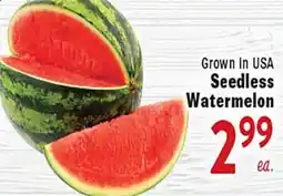 Rio Valley Market Seedless Watermelon offer