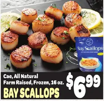 Cae All Natural Bay Scallops