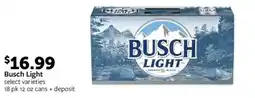 Fareway Busch Light offer