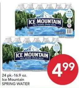 Pete's Fresh Market Ice Mountain spring water offer