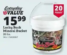 Rural King Lucky Buck Mineral Bucket offer