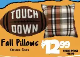 Big Lots Touchdown fall pillows offer