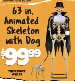 Big Lots Animated Skeleton with Dog offer