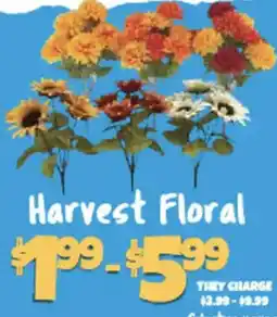Big Lots Harvest Floral offer