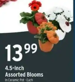 Brookshire's Assorted Blooms offer