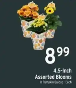 Brookshire's 4.5-Inch Assorted Blooms In Pumpkin Quiccup offer