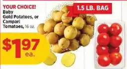 H-E-B Baby Gold Potatoes or Campari Tomatoes offer