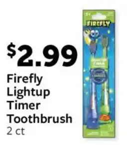 Fareway Firefly Lightup Timer Toothbrush offer