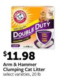 Fareway Arm & Hammer Clumping Cat Litter offer