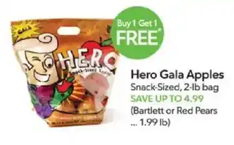 Hero Gala Apples