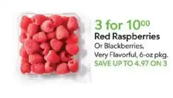Red Raspberries Or Blackberries