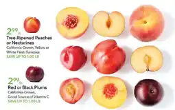 Publix Tree-Ripened Peaches or Nectarines offer
