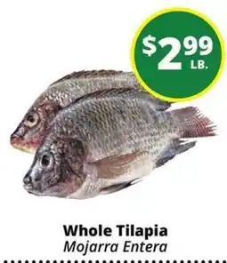 Rancho Markets Whole Tilapia offer
