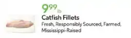 Publix Catfish Fillets offer