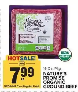 Food Lion Nature's Promise Organic Ground Beef offer
