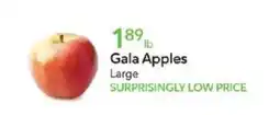 Publix Gala Apples offer