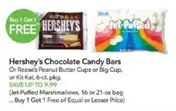 Publix Hershey's Chocolate Candy Bars offer
