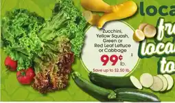 Giant Eagle Zucchini, Yellow Squash, Green or Red Leaf Lettuce or Cabbage offer