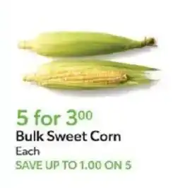 Publix Bulk Sweet Corn offer