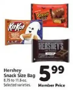 Hershey Snack Size Bag