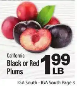 IGA California Black or Red Plums offer