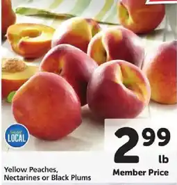 Safeway Yellow Peaches, Nectarines or Black Plums offer