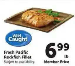Safeway Wild Caught Fresh Pacific Rockfish Fillet offer