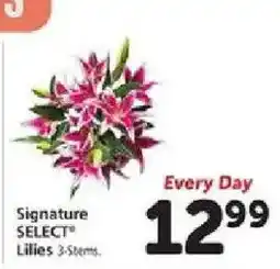 Safeway Signature Select Lilies offer