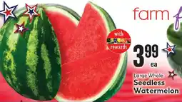 Market Basket Farm Large Whole Seedless Watermelon offer