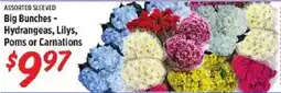 Rouses Assorted Sleeved Big Bunches - Hydrangeas, Lilies, Poms or Carnations offer