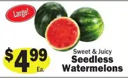 Sellers Bros Sweet & Juicy Seedless Watermelons offer